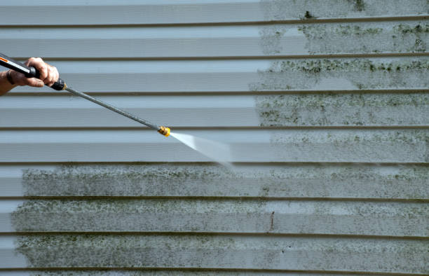 Best Patio and Deck Pressure Washing  in Sierra Madre, CA